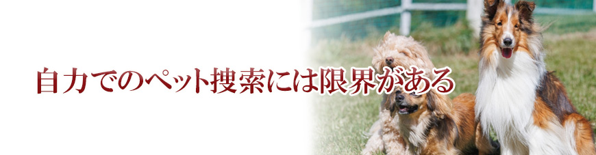 【墨田区　探偵】子ども見守り調査｜墨田区で子ども見守り調査で探偵をお探しならスマイルエージェント墨田にお任せください。