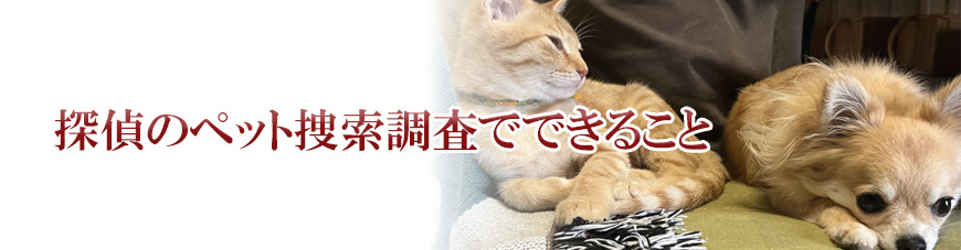 【墨田区　探偵】子ども見守り調査｜墨田区で子ども見守り調査で探偵をお探しならスマイルエージェント墨田にお任せください。