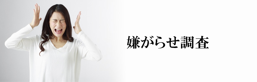 【墨田区　探偵】素行調査｜墨田区で素行調査で探偵をお探しならスマイルエージェント墨田にお任せください。